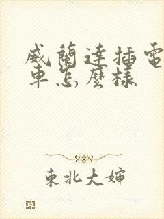 威兰达插电混动车怎么样