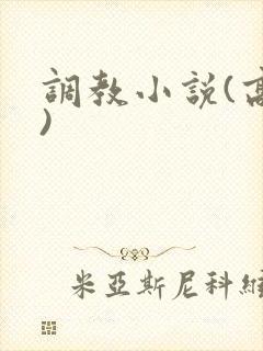 调教小说(高h)