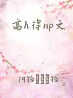 高h得np文
