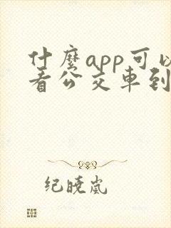 什么app可以看公交车到哪了