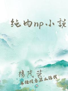 纯肉np小说h