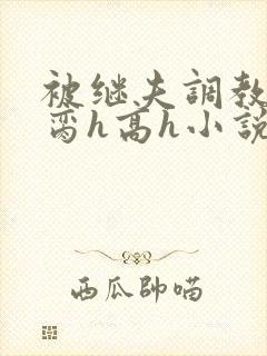 被继夫调教成禁脔h高h小说