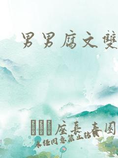 男男腐文双性