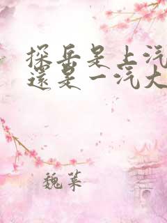 探岳是上汽大众还是一汽大众