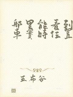 哪里能看到公交车实时位置