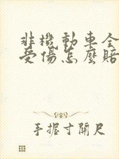 非机动车全责人受伤怎么赔