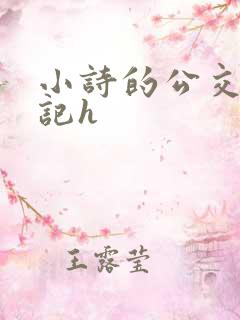 小诗的公交车日记h