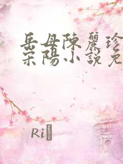岳母陈丽珍女婿宋阳小说免