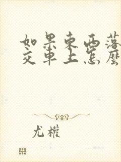 如果东西落在公交车上怎么办