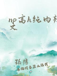 np高h纯肉辣文