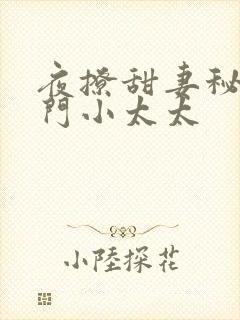 夜撩甜妻秘爱豪门小太太 夜撩甜妻秘爱豪门小太太