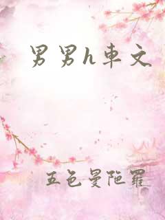 男男h车文