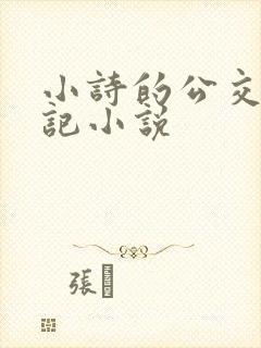 小诗的公交车日记小说