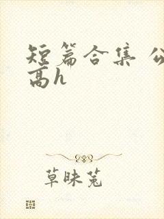 短篇合集 公车高h