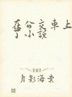 在公交车上被顶了小说
