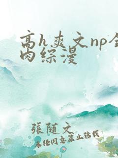 高h爽文np全肉综漫