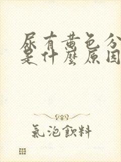 尿有黄色分泌物是什么原因