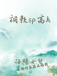 调教sp高h