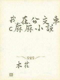 我在公交车上狂c麻麻小说