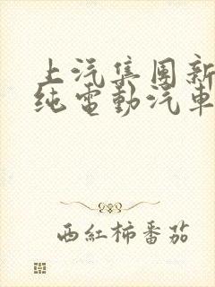 上汽集团新能源纯电动汽车品牌 上汽集团新能源纯电动汽车品牌