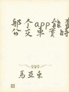 那个app能查公交车实时到站 那个app能查公交车实时到站