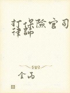 打保险官司好的律师