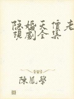 隐婚天价老公电视剧全集