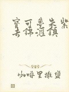 宝可梦朱紫怎么去锦汇镇