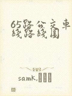 65路公交车路线路线图