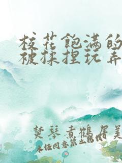 校花饱满的双乳被揉捏玩弄小说