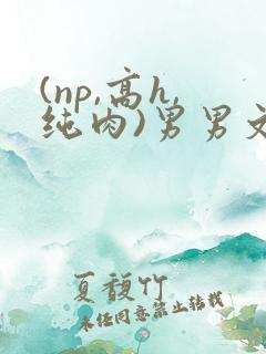 (np,高h,纯肉)男男文