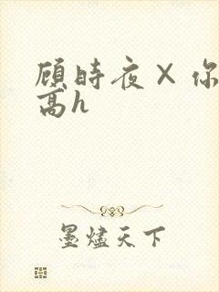 顾时夜×你车肉高h