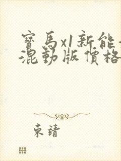 宝马x1新能源混动版价格