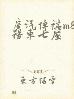 广汽传祺m8商务车七座