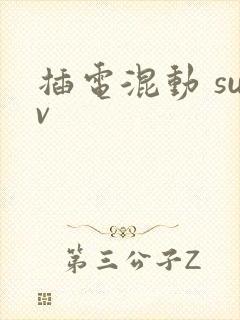 插电混动 suv