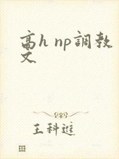 高h np调教文