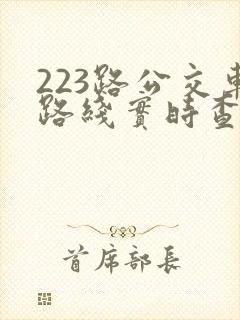 223路公交车路线实时查询 223路公交车路线实时查询