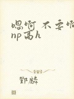 嗯啊 不要啊 np高h