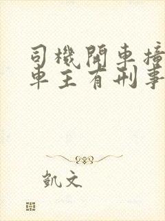 司机开车撞死人车主有刑事责任吗