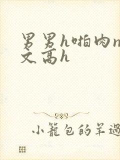 男男h啪肉np文高h