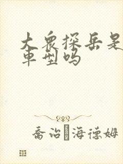 大众探岳是全球车型吗