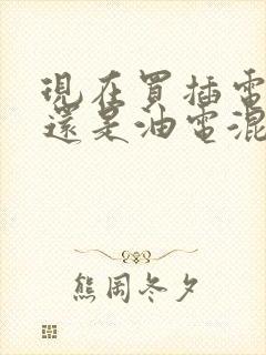 现在买插电混动还是油电混动好