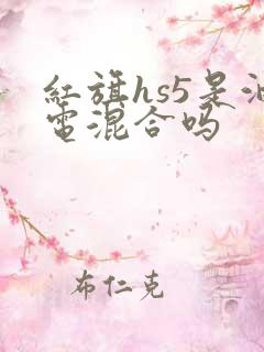 红旗hs5是油电混合吗