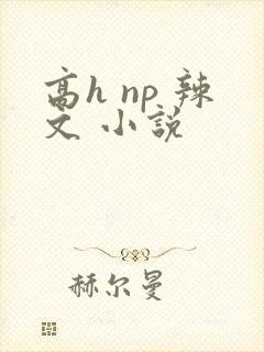 高h np 辣文 小说