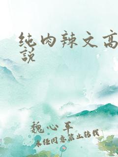 纯肉辣文高h小说