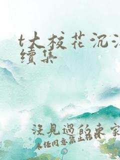 t大校花沉浮录续集