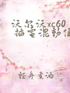沃尔沃xc60 插电混动值得入手吗