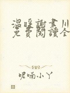 温暖谢聿川小说免费阅读全文无弹窗