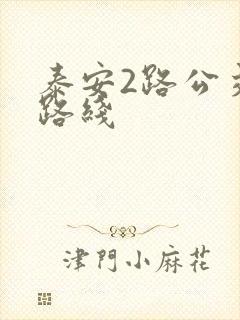 泰安2路公交车路线