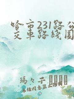 哈市231路公交车路线图 哈市231路公交车路线图